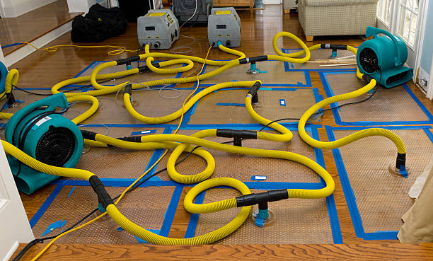 Professional Structural Drying And Dehumidification technician working in Poestenkill, NY